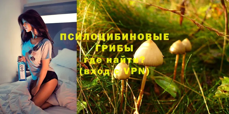 shop состав  ОМГ ОМГ зеркало  Заволжск  Псилоцибиновые грибы MAGIC MUSHROOMS 